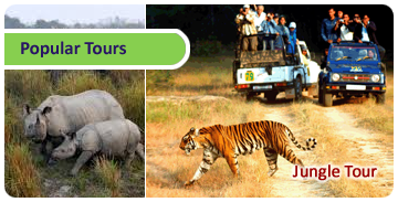 Click here for Popular Tours